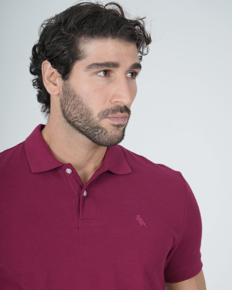Classic Polo