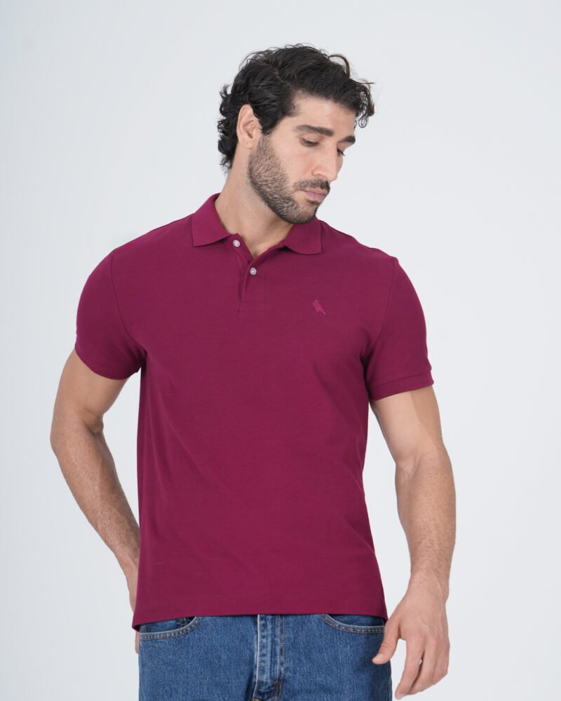 Classic Polo